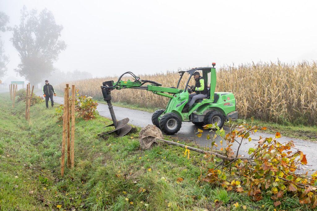 Nasadzenia wzdłuż DW 266, fot. Szymon Zdziebło/tarantoga.pl dla UMWKP
