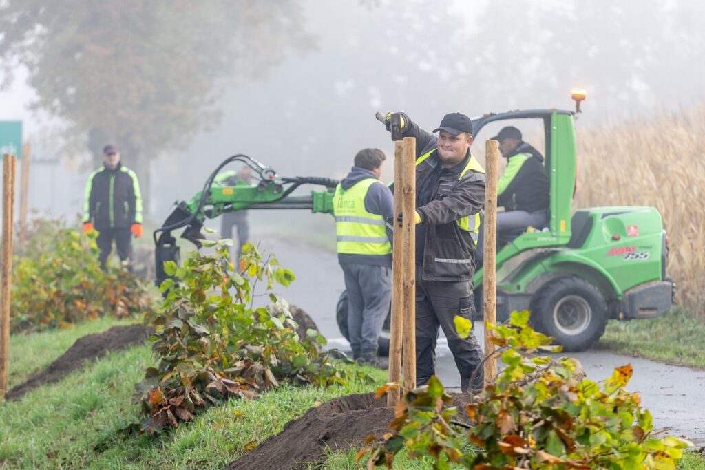 Nasadzenia wzdłuż DW 266, fot. Szymon Zdziebło/tarantoga.pl dla UMWKP
