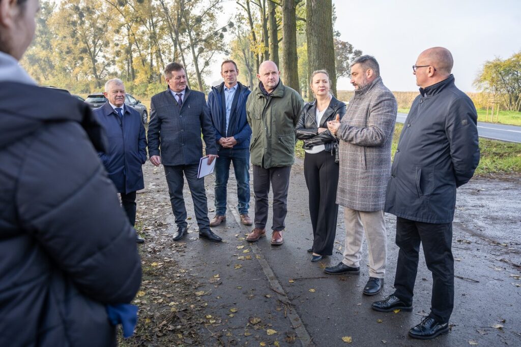 Nasadzenia wzdłuż DW 266, fot. Szymon Zdziebło/tarantoga.pl dla UMWKP