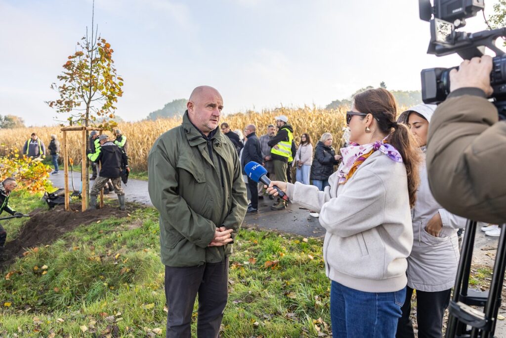 Nasadzenia wzdłuż DW 266, fot. Szymon Zdziebło/tarantoga.pl dla UMWKP