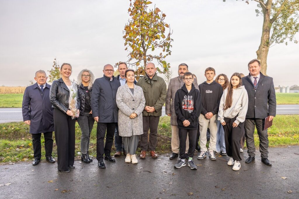 Nasadzenia wzdłuż DW 266, fot. Szymon Zdziebło/tarantoga.pl dla UMWKP