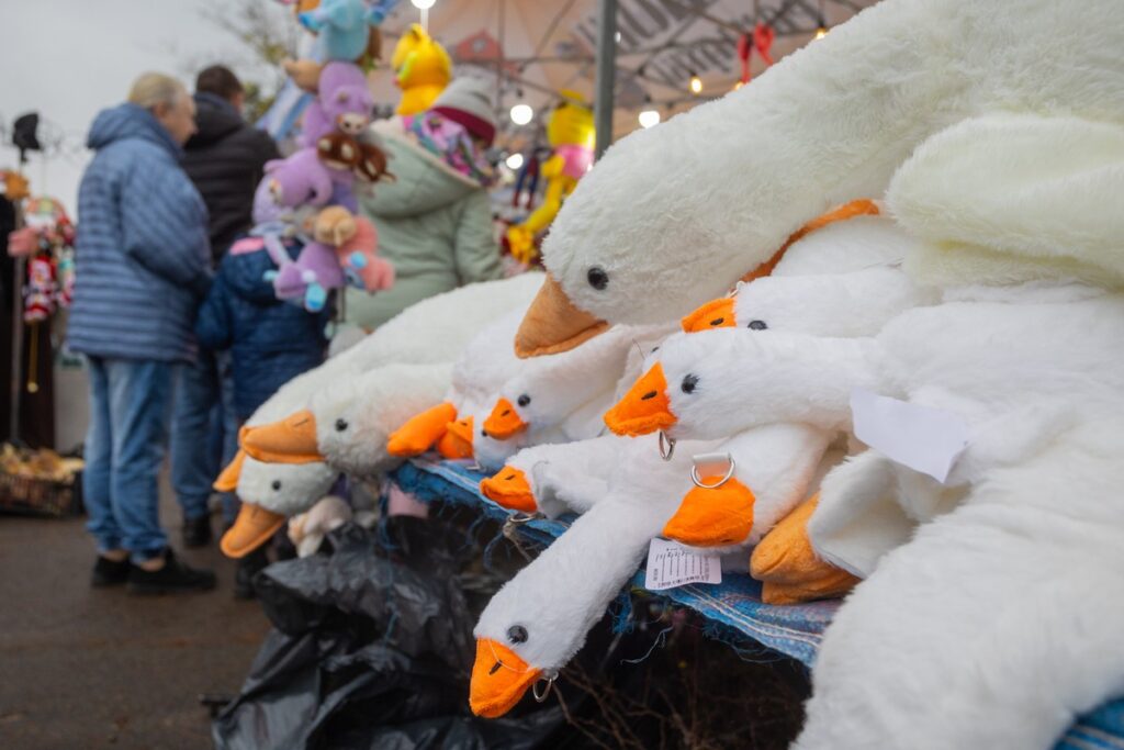 Festiwal Gęsiny w Przysieku, fot. Mikołaj Kuras dla UMWKP