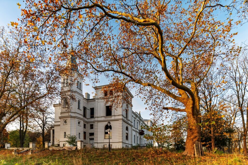 Zespół pałacowy w Wieńcu, fot. Kujawsko-Pomorskie Centrum Edukacji i Innowacji