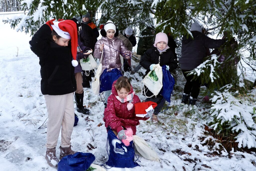 Wybór choinki w Leśnictwie Raciniewo, fot. Andrzej Goiński/UMWKP