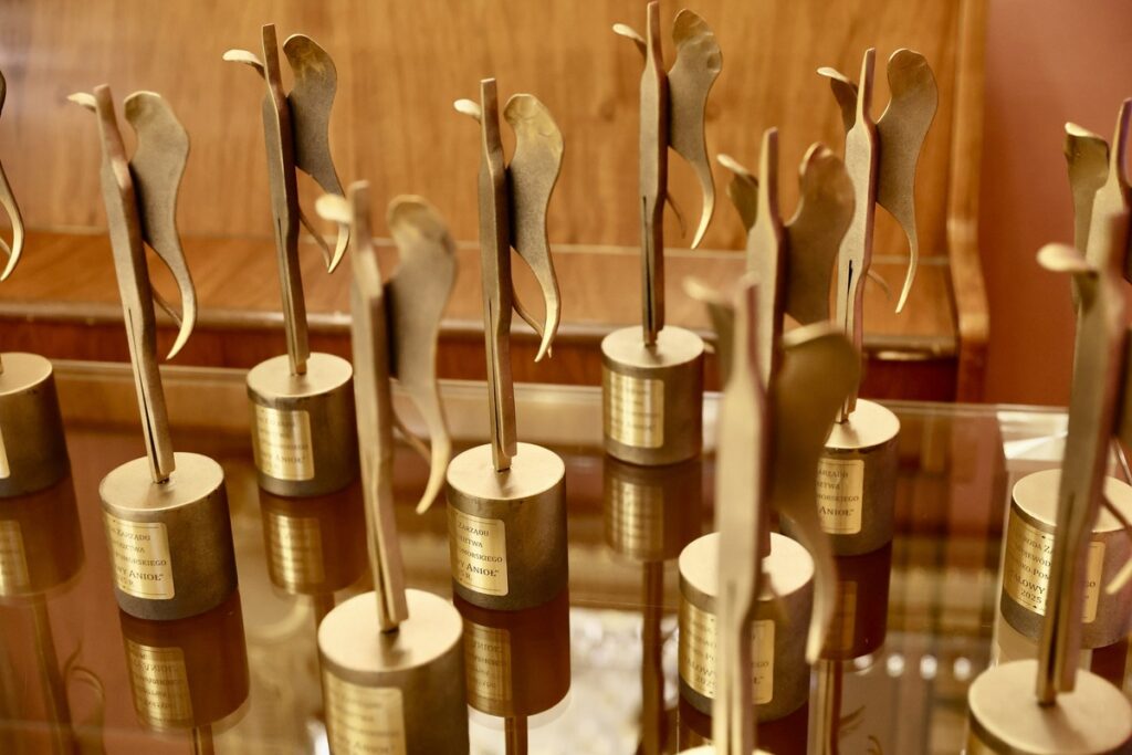 Gala Stalowych Aniołów 2025, fot. Andrzej Goiński/UMWKP