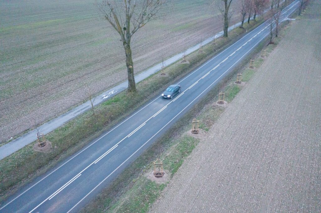 Aleja lipowa wzdłuż drogi wojewódzkiej nr 266 w powiecie aleksandrowskim, fot. Mikołaj Kuras dla UMWKP