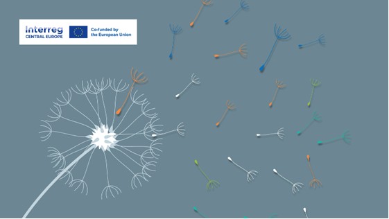 Logo naboru kapitalizacyjnego programu Interreg Europa Środkowa