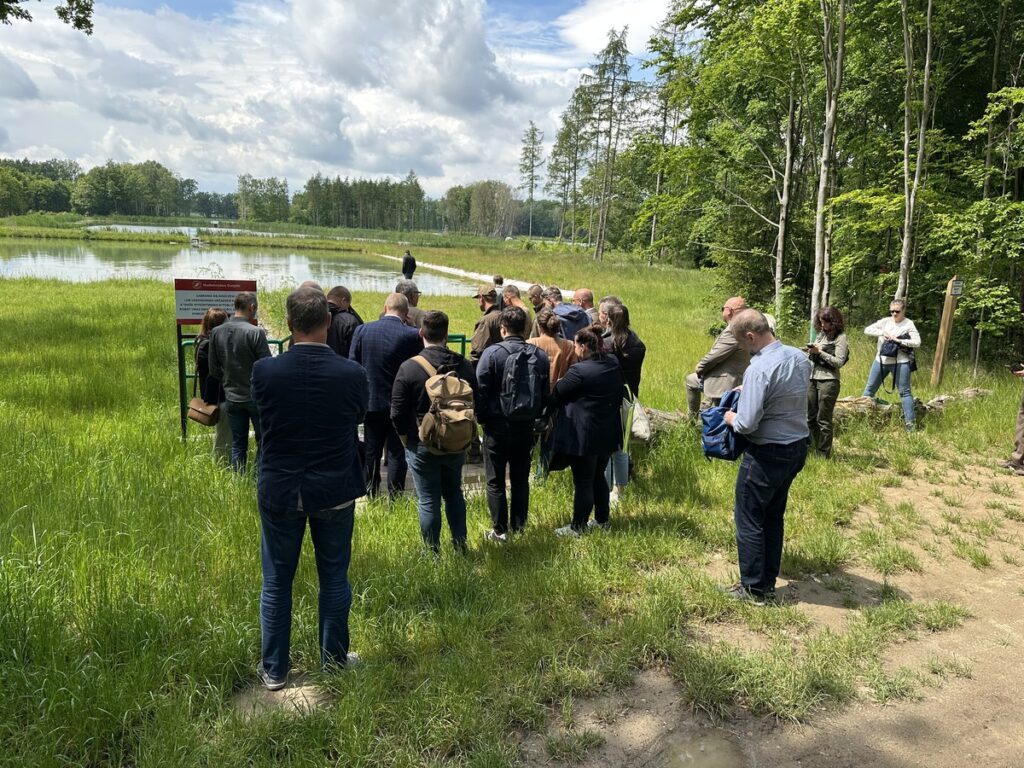 Spotkanie interesariuszy projektu RIWET – Kacze doły w Nadleśnictwie Gołąbki