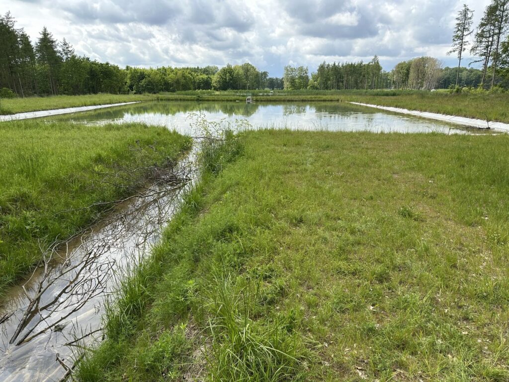 Spotkanie interesariuszy projektu RIWET – Kacze doły w Nadleśnictwie Gołąbki