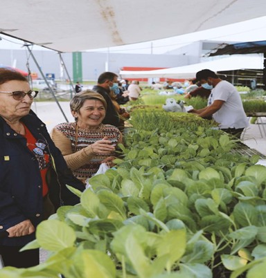 Trasa Targów Żywnościowych Regionu Coimbra (Region Coimbra, Portugalia)