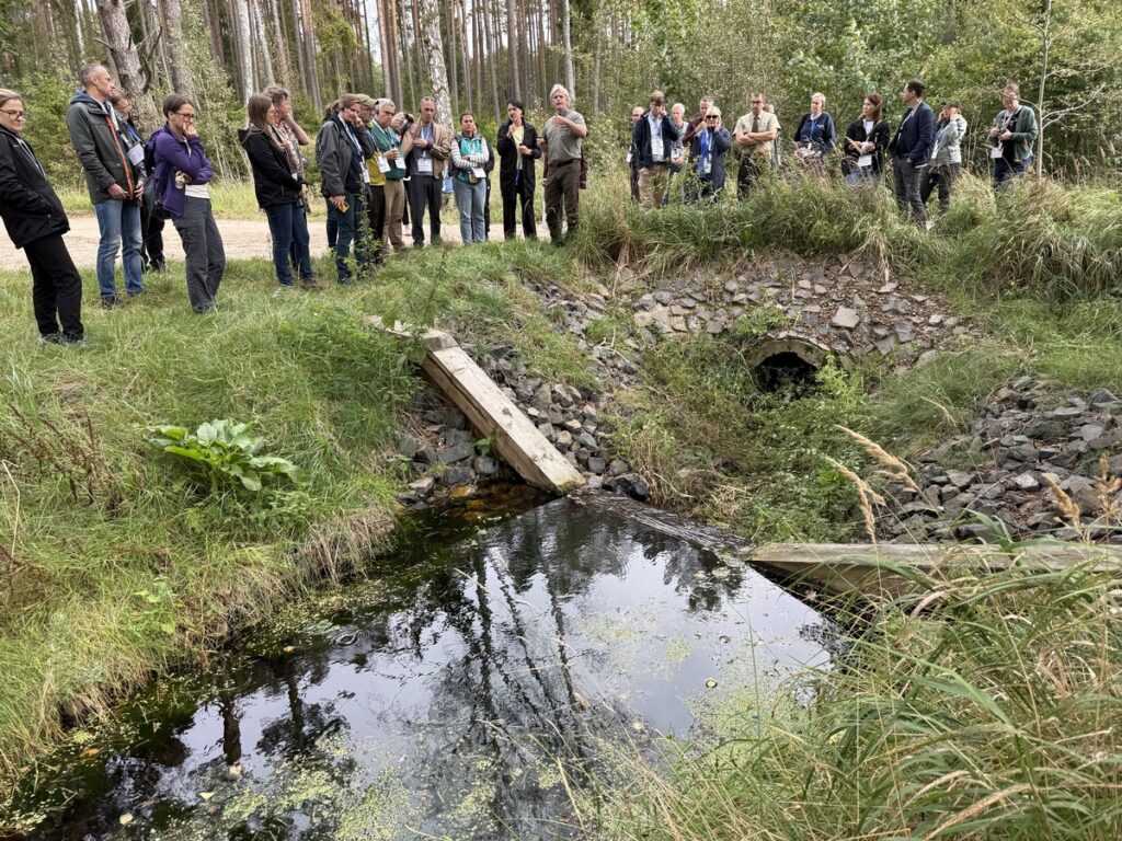 Nadleśnictwo Woziwoda projekt ochrony wartościowych ekosystemów, fot. R. Modrzewski