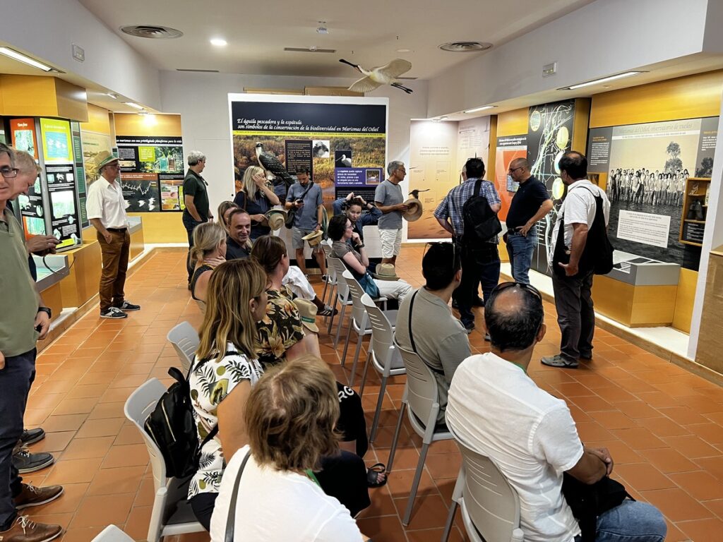 Spotkanie partnerów projektu Enlia w Sewilli, fot. A. Mazurek