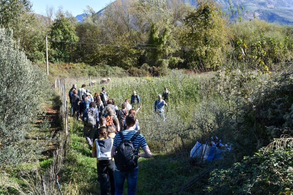 Teren ReForest Vjosa, Albania, fot. Krzysztof Wojtkowiak