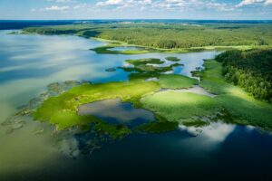 Forest at Koronowo Reservoir, photo Tomasz Czachorowski/eventphoto for UMWKP