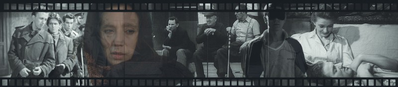 Graf. Maja Rusek UMWKP