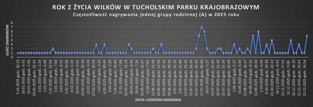 Wykres R. Borzyszkowski