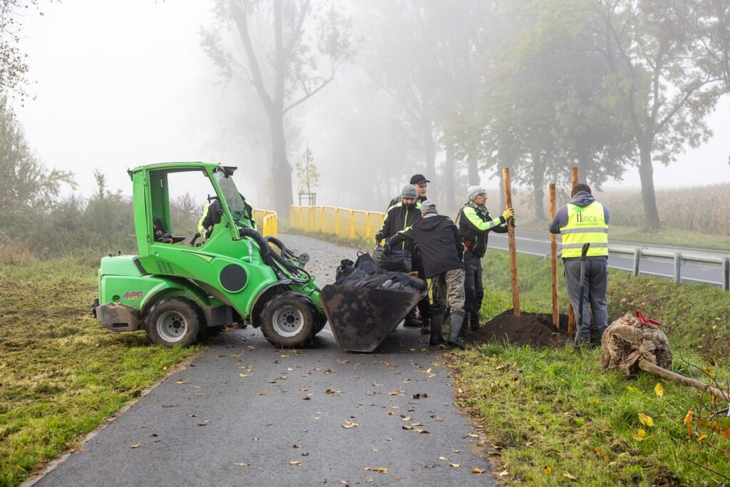 W jednym z aktualnych konkursów FEdKP mamy środki na zadrzewienia przydrożne; fot. Szymon Zdziebło/tarantoga dla UMWKP