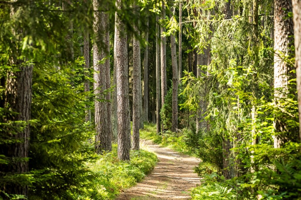 photo by Tomasz Czachorowski/eventphoto for UMWKP