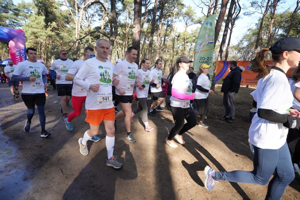 Mistrzowski bieg w Toruniu, fot. PZLA