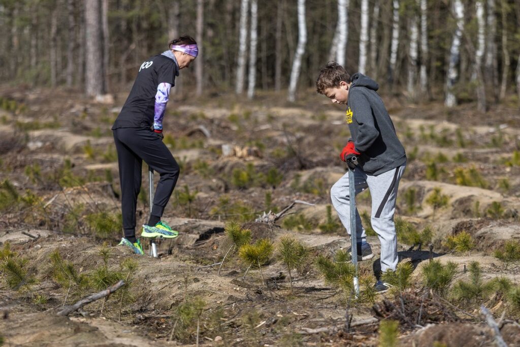 Akcja sadzenia drzew na toruńskiej Barbarce, fot. Szymon Zdziebło/tarantoga.pl dla UMWKP