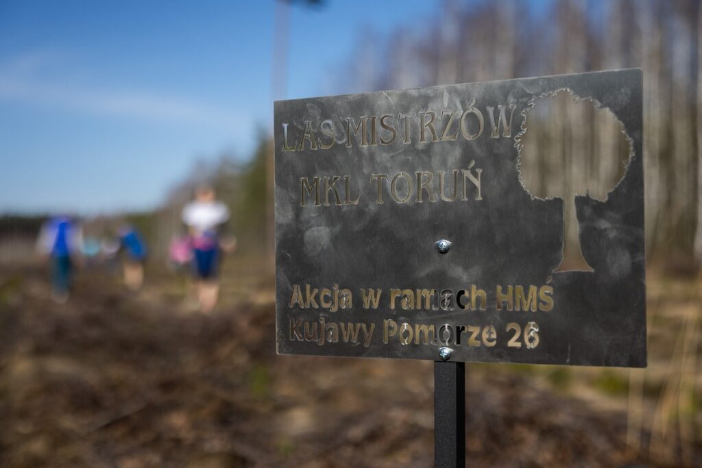 Akcja sadzenia drzew na toruńskiej Barbarce, fot. Szymon Zdziebło/tarantoga.pl dla UMWKP