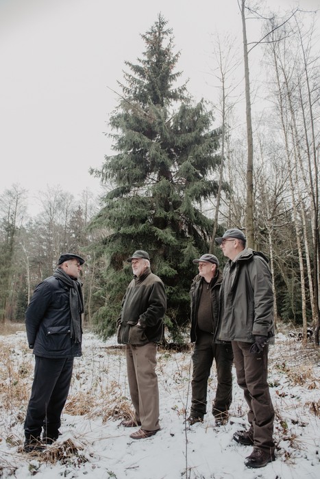 04.12.2017, Marszałek Piotr Całbecki osobiście wybrał choinkę, dar od Lasów Państwowych, która stanie przed Urzędem Marszałkowskim, fot. Łukasz Piecyk