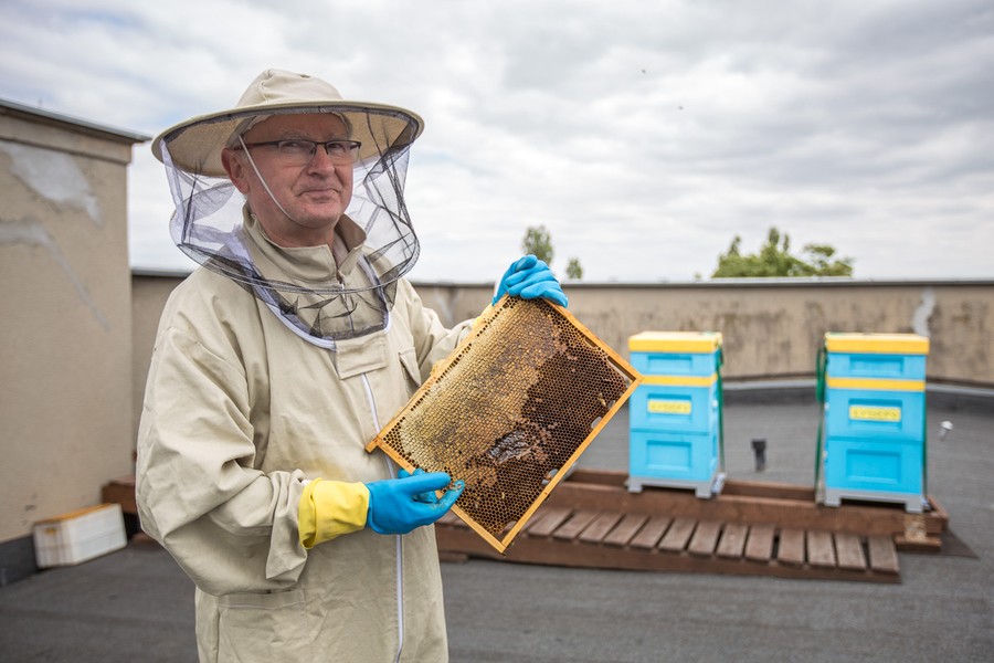 Miodobranie na dachu Urzędu Marszałkowskiego, fot. Szymon Zdziebło/tarantoga.pl