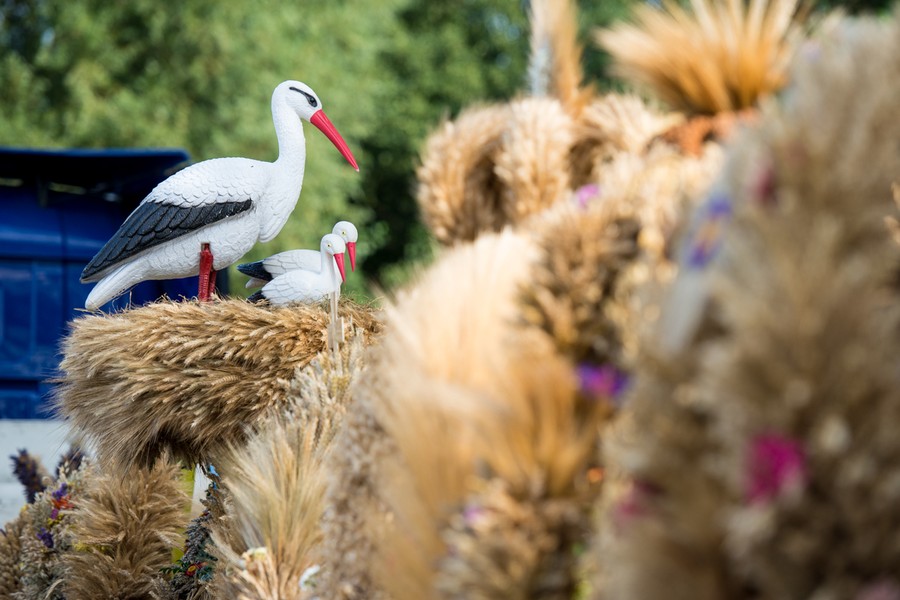 Dożynki Gminy Zławieś Wielka w Złejwsi Małej, fot. Łukasz Piecyk