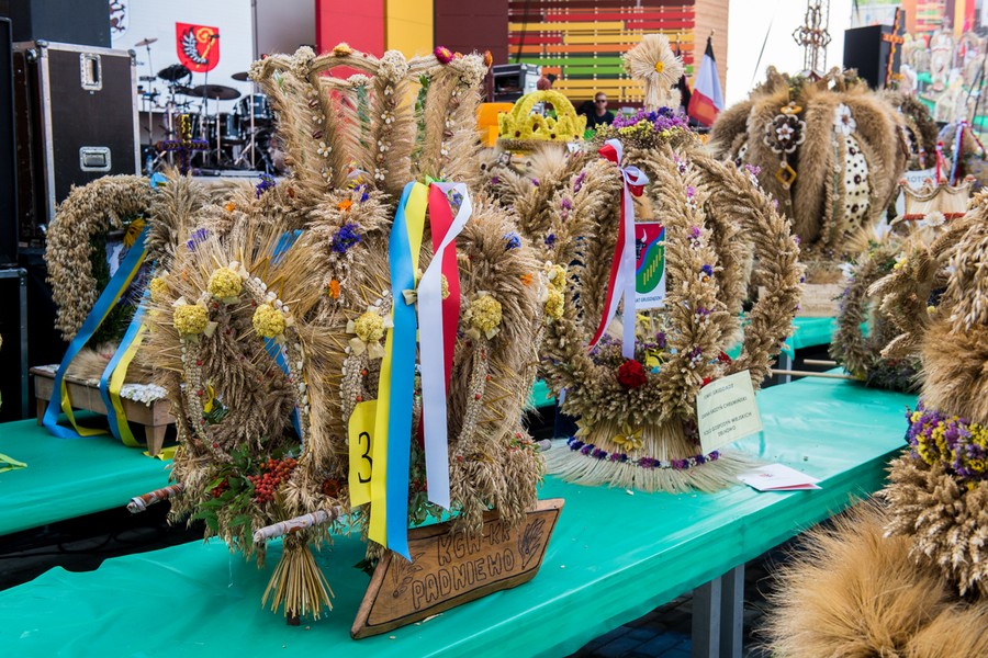 Prezentacja wieńców podczas dożynek wojewódzko-diecezjalnych w Wąbrzeźnie, fot. Łukasz Piecyk
