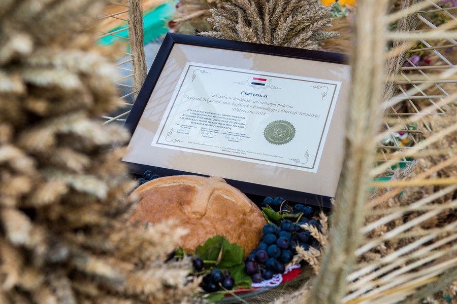 Prezentacja wieńców podczas dożynek wojewódzko-diecezjalnych w Wąbrzeźnie, fot. Łukasz Piecyk