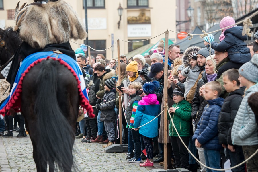 Piknik patriotyczny na toruńskiej Starówce, fot. Łukasz Piecyk