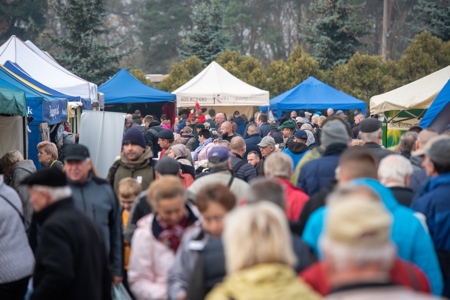 Kujawsko-Pomorski Festiwal Gęsiny w Przysieku, fot. Łukasz Piecyk