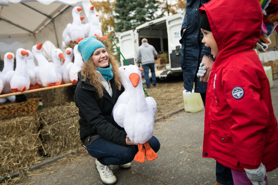 Kujawsko-Pomorski Festiwal Gęsiny w Przysieku, fot. Andrzej Goiński