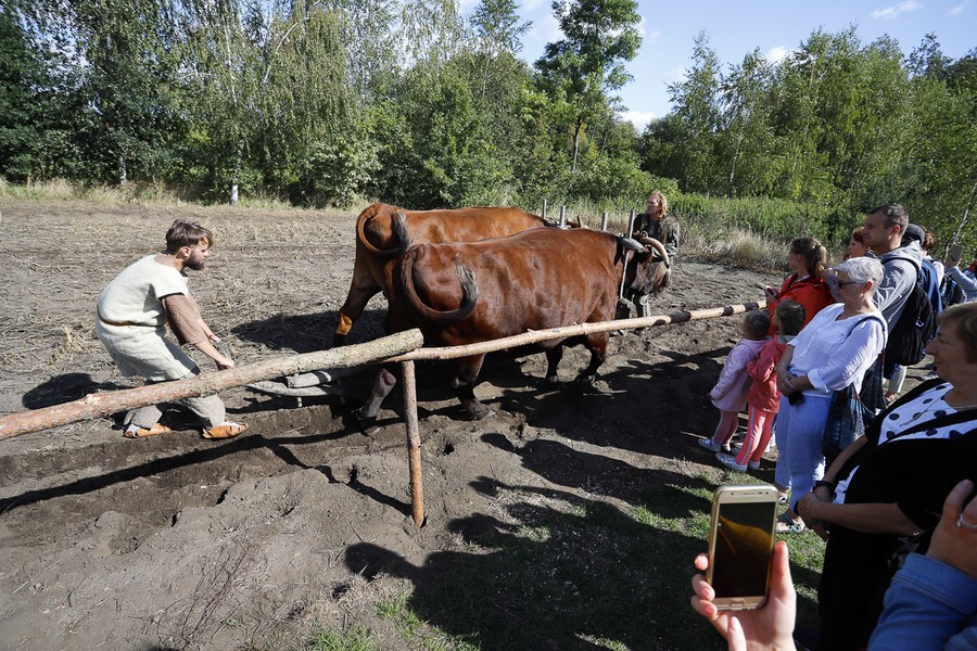 25. Festyn Archeologiczny w Biskupinie, fot. Mikołaj Kuras i Filip Kowalkowski