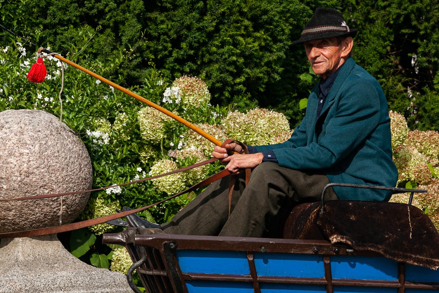 XXV Konkurs Pojazdów Konnych w Lubostroniu, fot. Filip Kowalkowski