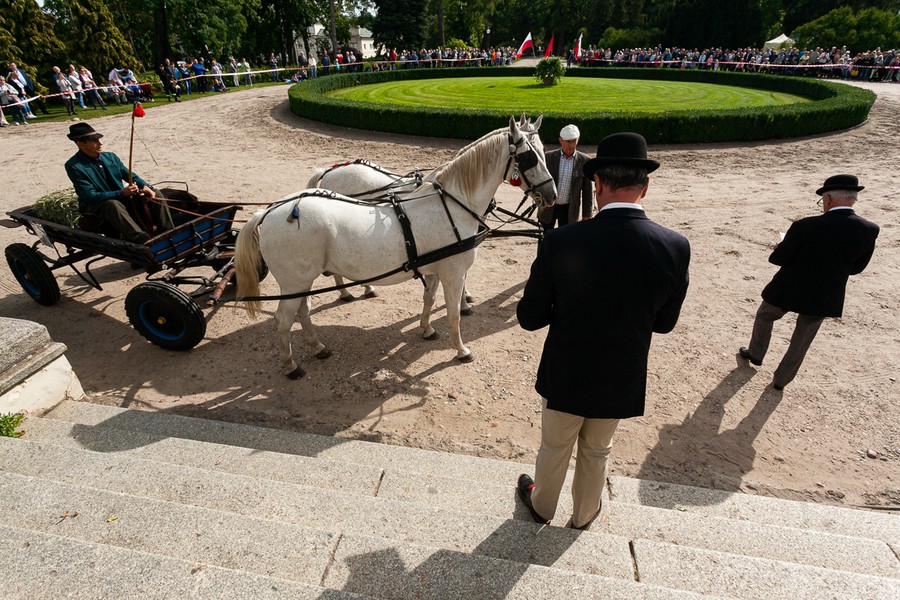 XXV Konkurs Pojazdów Konnych w Lubostroniu, fot. Filip Kowalkowski