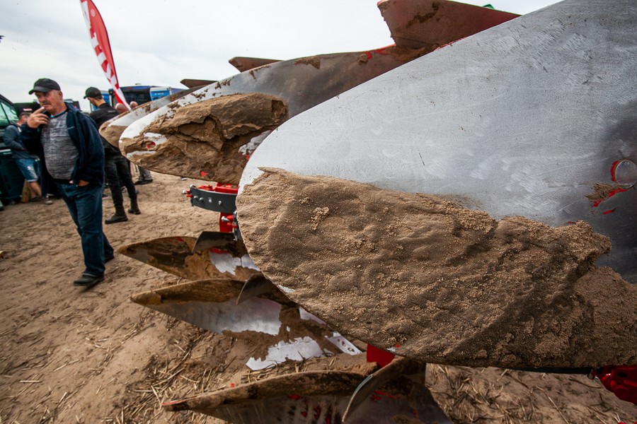 Wojewódzkie Konkurs Orki przy drodze między Podgórzynem i Wenecją, fot. Filip Kowalkowski