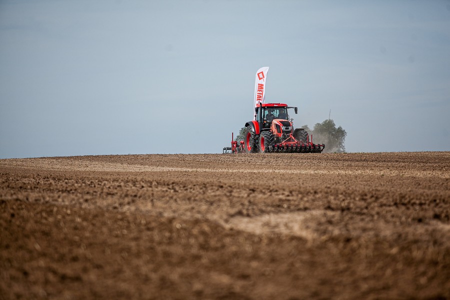 Wojewódzkie Konkurs Orki przy drodze między Podgórzynem i Wenecją, fot. Filip Kowalkowski