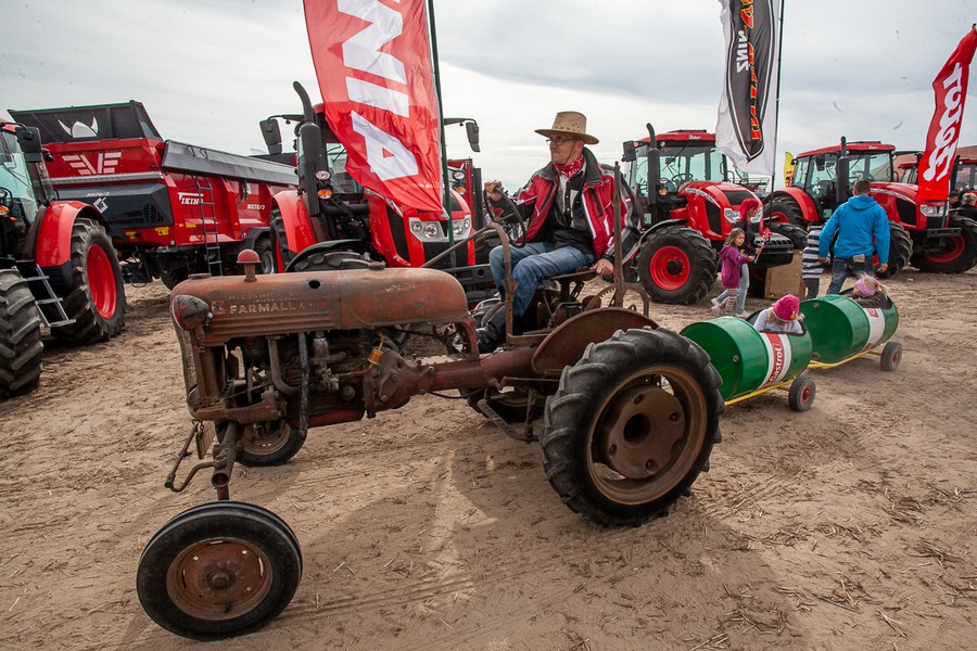 Wojewódzkie Konkurs Orki przy drodze między Podgórzynem i Wenecją, fot. Filip Kowalkowski