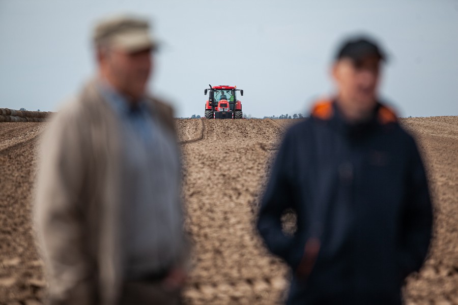 Wojewódzkie Konkurs Orki przy drodze między Podgórzynem i Wenecją, fot. Filip Kowalkowski