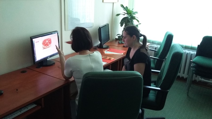 Warsztaty komputerowe