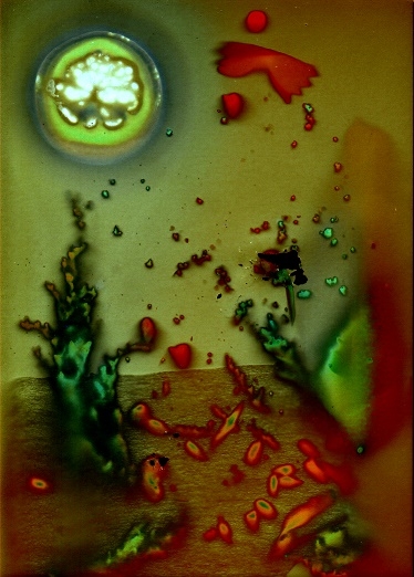 Bajka Przemek Wierzbicki