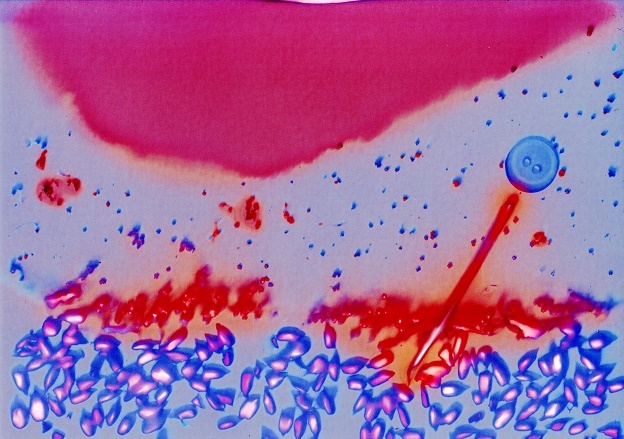 Guzik Przemek Wierzbicki