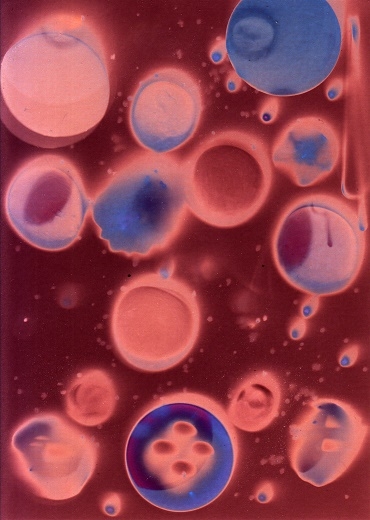 Kosmos Jakub Gregrowicz