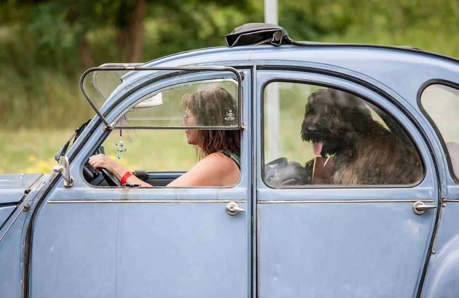 Międzynarodowy Zlot Miłośników Citroëna 2CV w Toruniu (3), fot. Andrzej Goiński