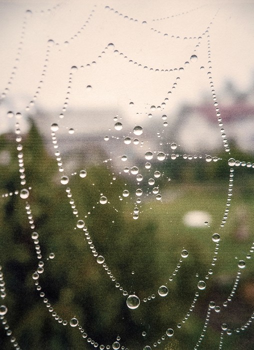 Anna Okrój lat 13 Linia