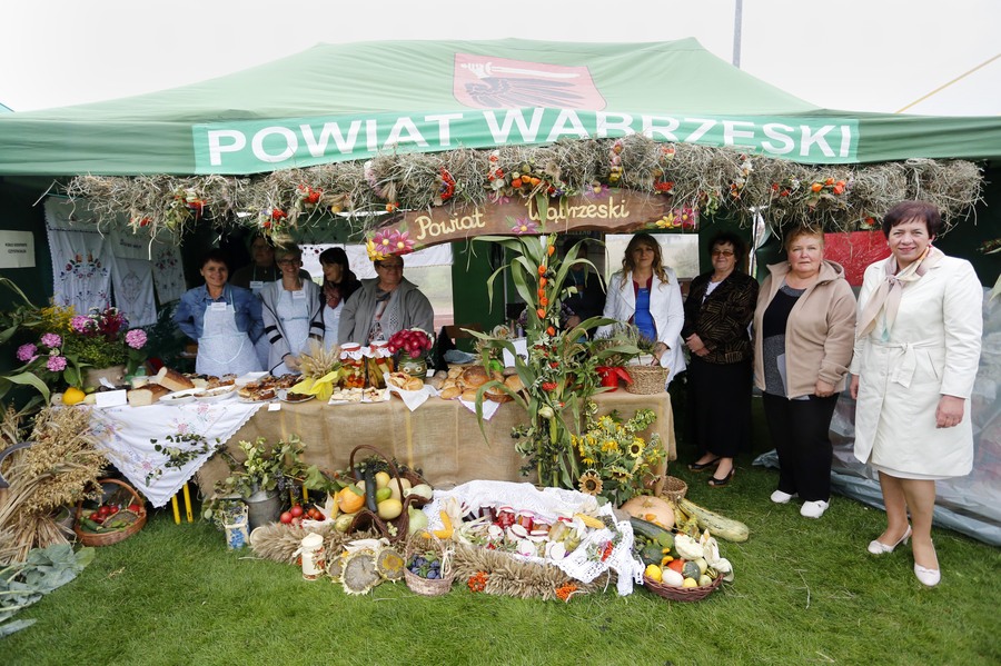 Dożynki wojewódzkie 2015, fot. Mikołaj Kuras