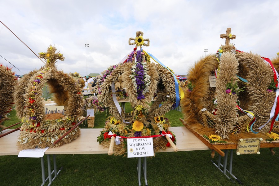 Dożynki wojewódzkie 2015, fot. Mikołaj Kuras