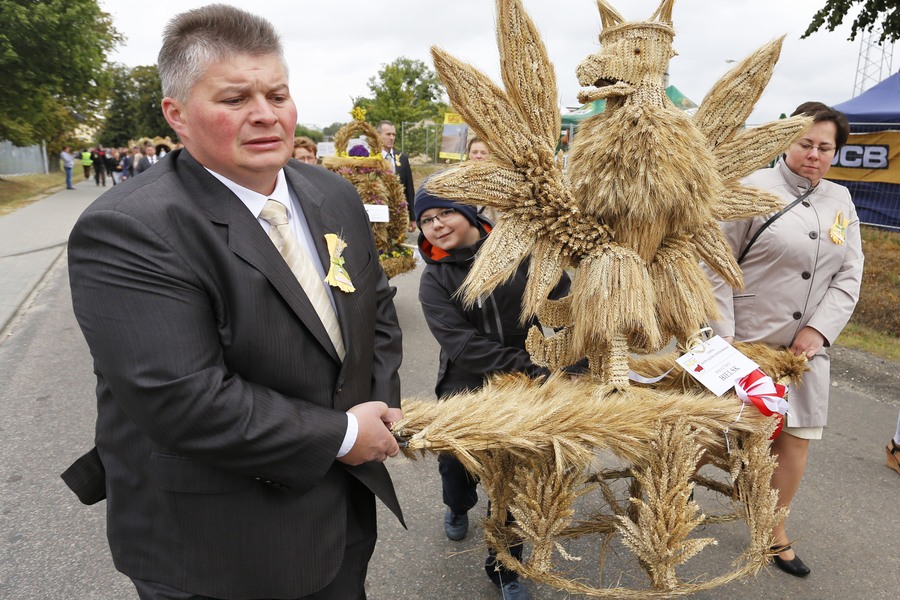 Dożynki wojewódzkie 2015, fot. Mikołaj Kuras