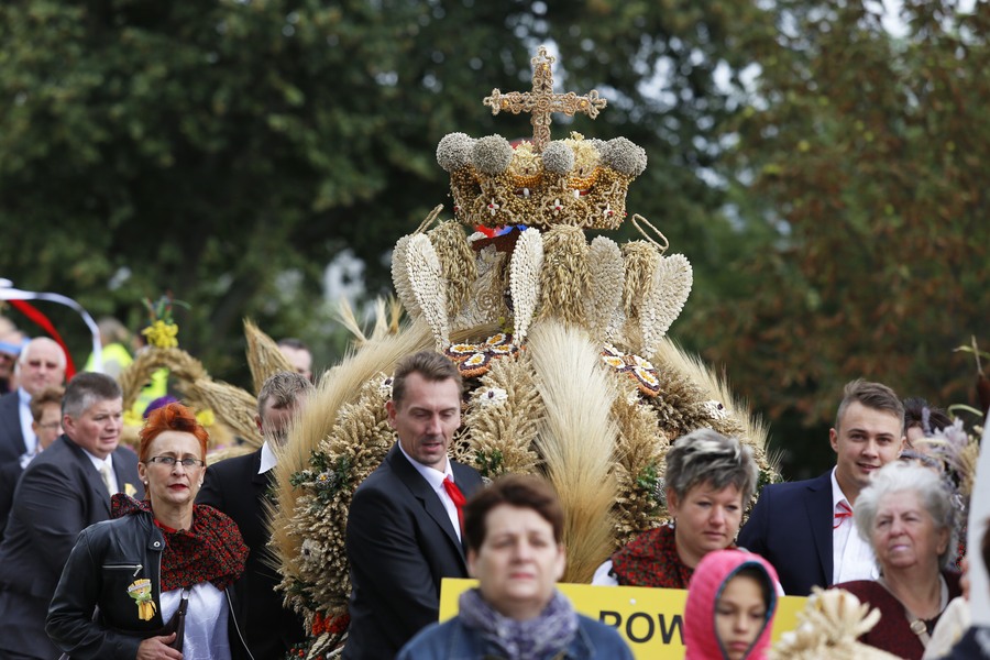 Dożynki wojewódzkie 2015, fot. Mikołaj Kuras